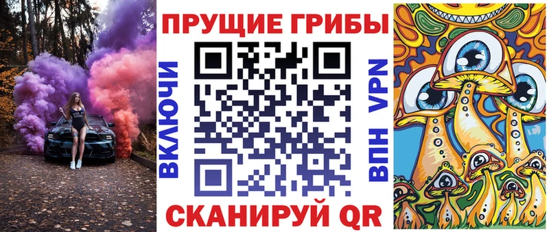 Псилоцибиновые грибы Psilocybine cubensis Вытегра