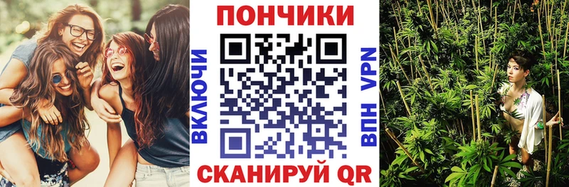 купить   Вытегра  МАРИХУАНА семена 